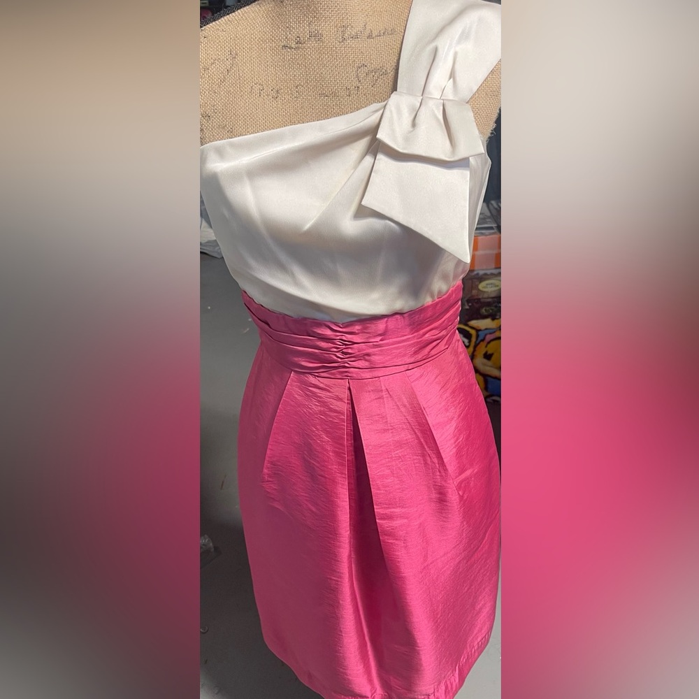 Max & Cleo Cream and Pink Satin Scarf Dress